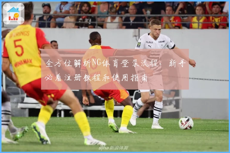 全方位解析NG体育登录流程，新手必看注册教程和使用指南
