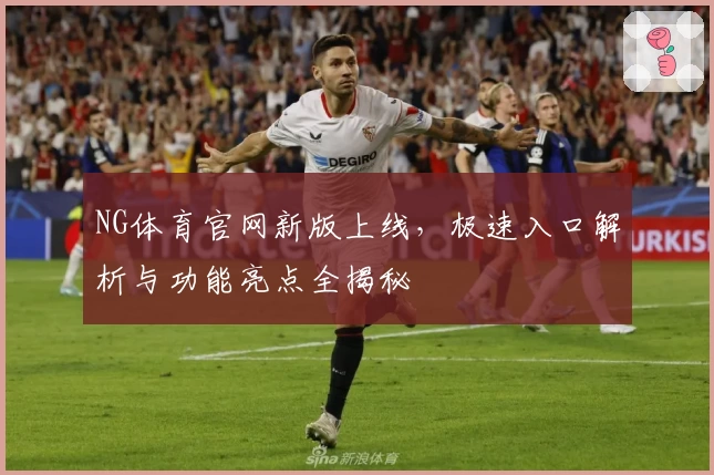 NG体育官网新版上线，极速入口解析与功能亮点全揭秘