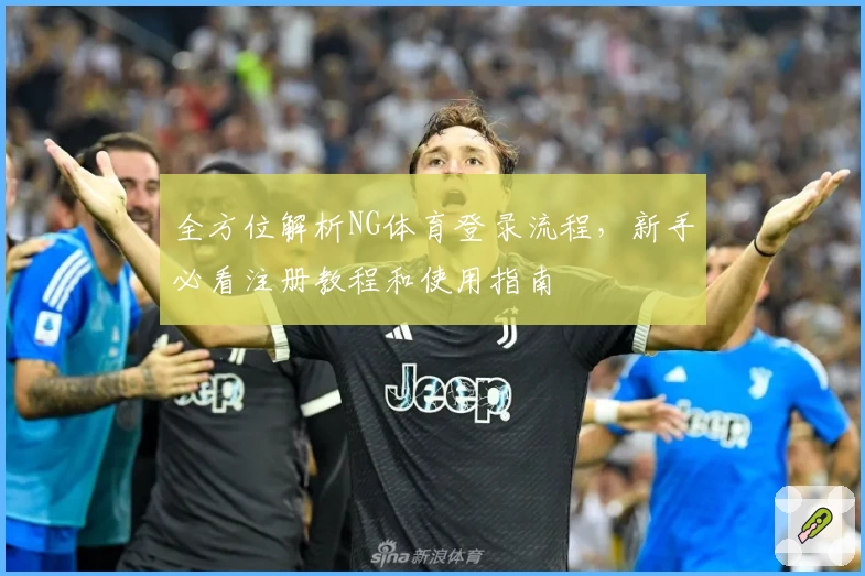 全方位解析NG体育登录流程，新手必看注册教程和使用指南