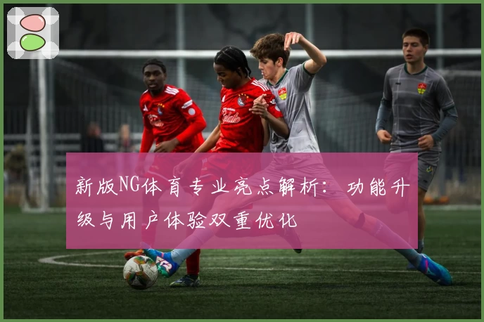 新版NG体育专业亮点解析：功能升级与用户体验双重优化