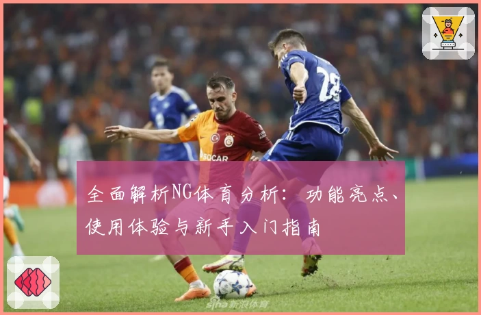 全面解析NG体育分析：功能亮点、使用体验与新手入门指南