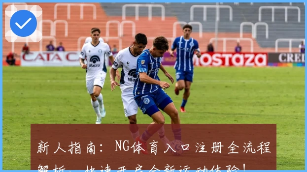 新人指南：NG体育入口注册全流程解析，快速开启全新运动体验！